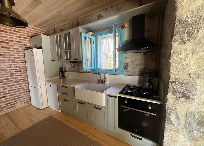 Masarya House Vila *